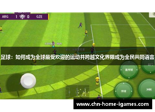 足球:如何成为全球最受欢迎的运动并跨越文化界限成为全民共同语言 足球:如何成为全球最受欢迎的运动并跨越文化界限成为全民共同语言