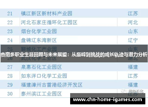 费南多职业生涯回顾与未来展望:从巅峰到挑战的成长轨迹与潜力分析 费南多职业生涯回顾与未来展望:从巅峰到挑战的成长轨迹与潜力分析