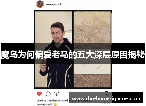 魔鸟为何偏爱老马的五大深层原因揭秘